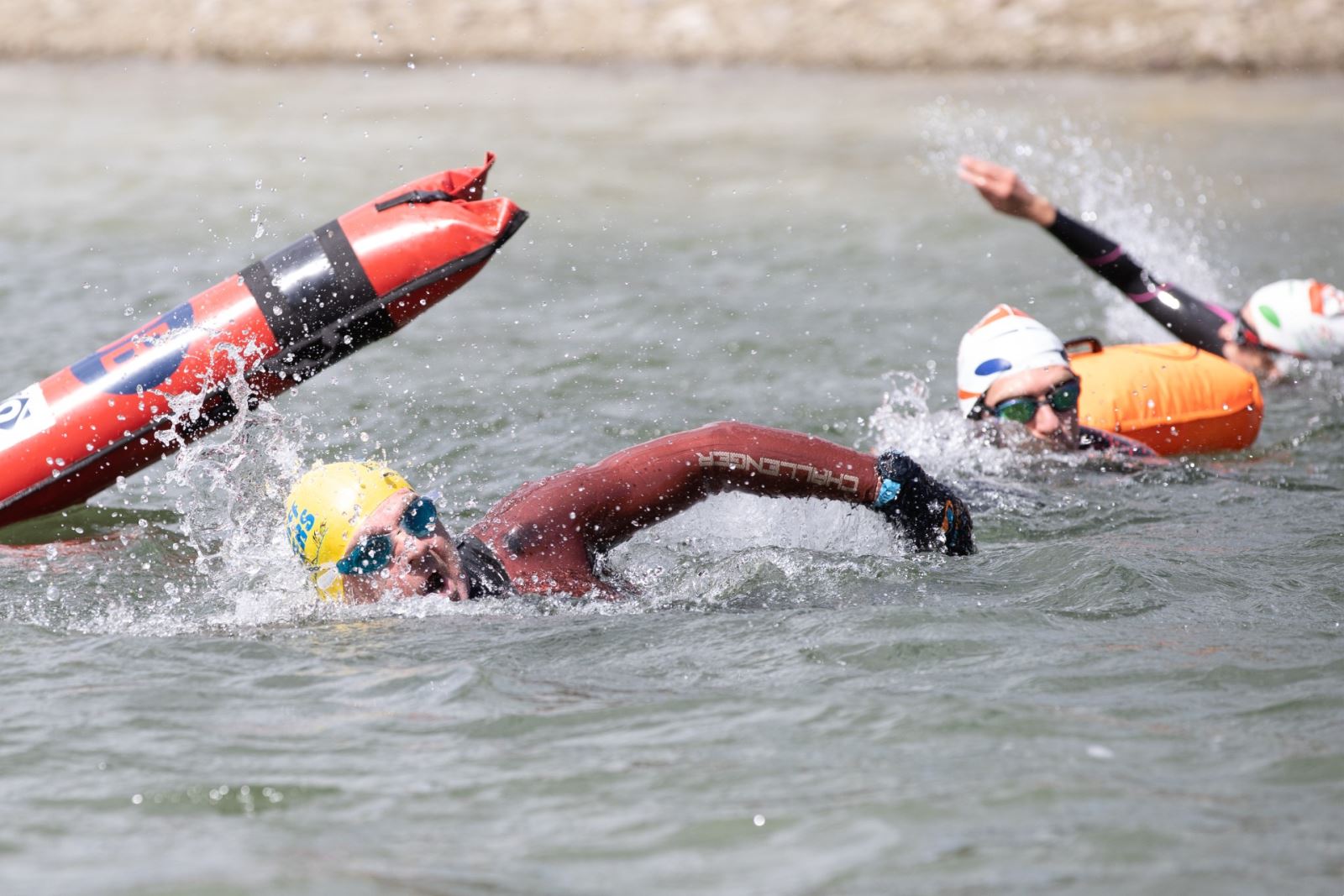 Swimming in Llandegfedd Lake